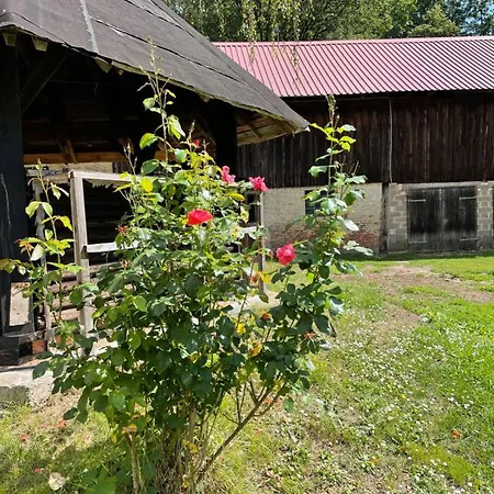 Schellnhof Forsthaus Am Waldrand Apartment Nidda Exterior photo